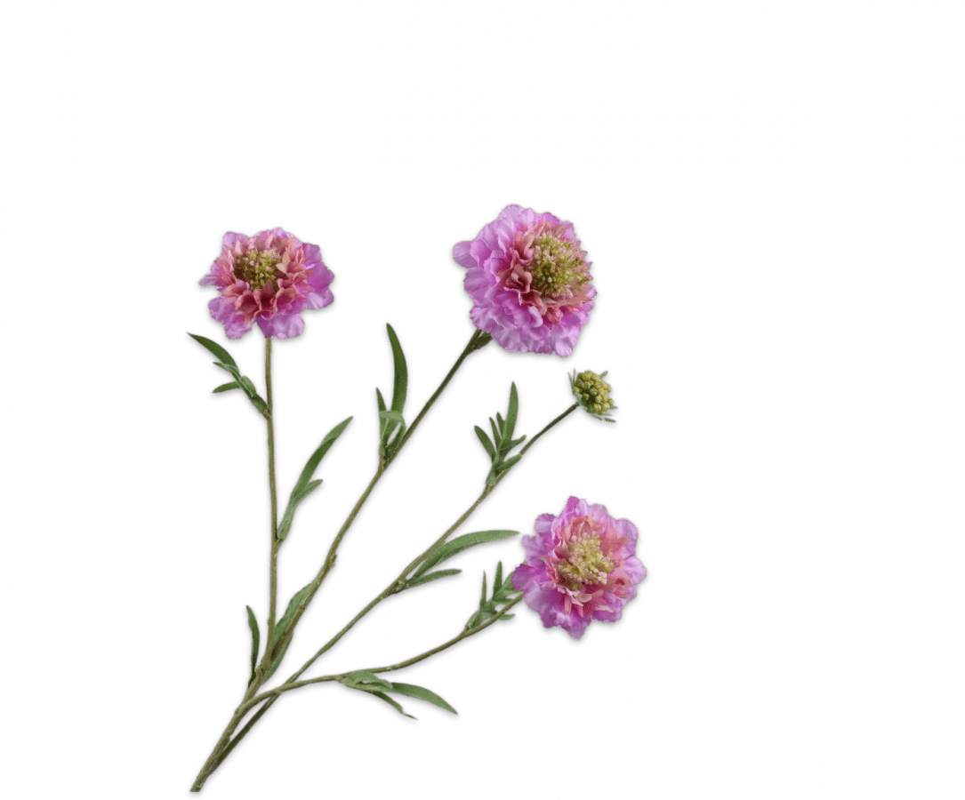 Kunstbloem Scabiosa Tak Roze REAL TOUCH | 80 cm - NU PUUR & GROEN