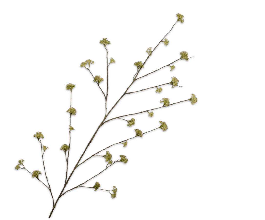 Kunstbloem Spirea Tak Groen | 160 cm - NU PUUR & GROEN