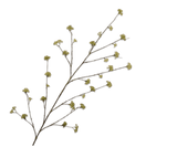 Kunstbloem Spirea Tak Groen | 160 cm