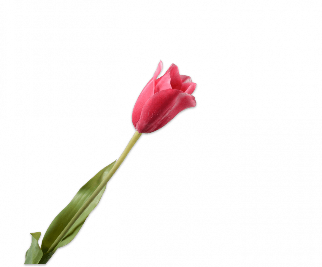 Kunstbloem Tulp Steel Beauty | 72 cm - NU PUUR & GROEN
