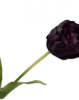 Kunstbloem Tulp Steel Bordeaux RT | 82 cm - NU PUUR & GROEN