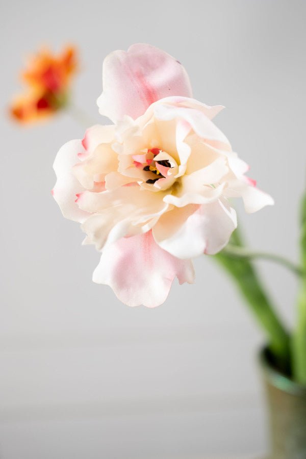 Kunstbloem Tulp Steel Creme/Roze RT | 72 cm - NU PUUR & GROEN