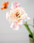 Kunstbloem Tulp Steel Creme/Roze RT | 72 cm - NU PUUR & GROEN