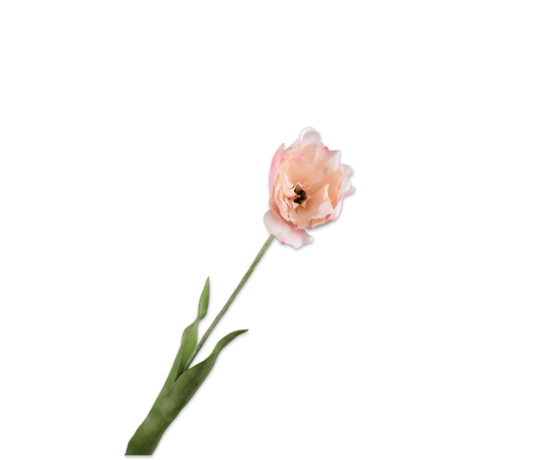 Kunstbloem Tulp Steel Creme/Roze RT | 72 cm - NU PUUR & GROEN