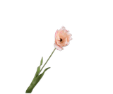 Kunstbloem Tulp Steel Creme/Roze RT | 72 cm