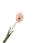 Kunstbloem Tulp Steel Creme/Roze RT | 72 cm - NU PUUR & GROEN