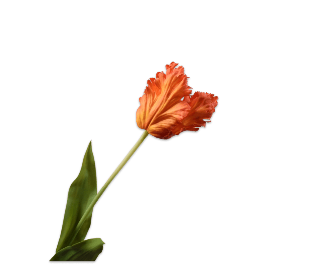Kunstbloem Tulp Steel Oranje | 71 cm - NU PUUR & GROEN
