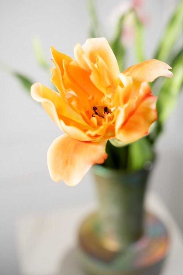 Kunstbloem Tulp Steel Oranje RT | 72 cm - NU PUUR & GROEN