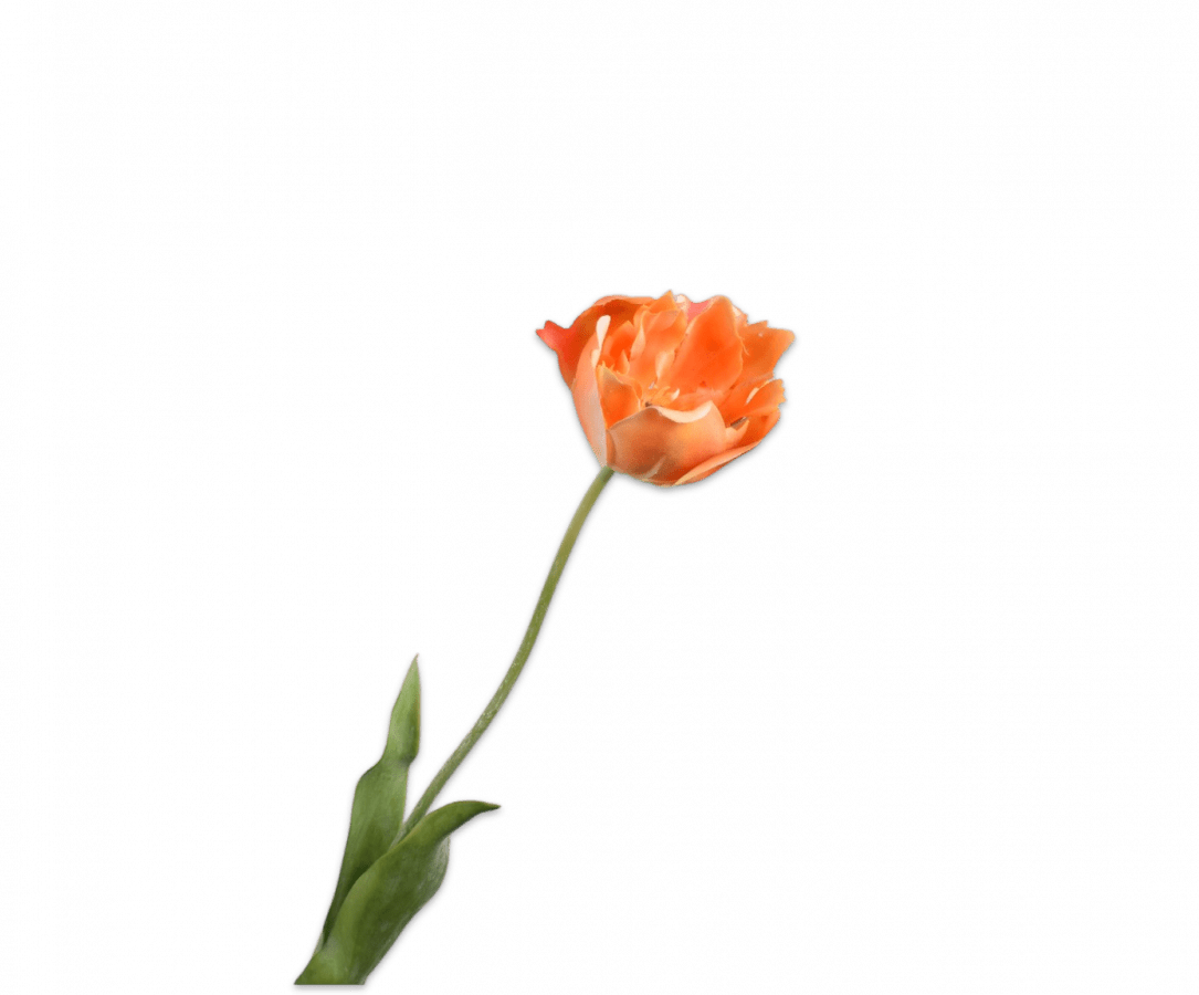 Kunstbloem Tulp Steel Oranje RT | 72 cm - NU PUUR & GROEN