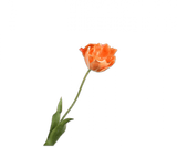 Kunstbloem Tulp Steel Oranje RT | 72 cm