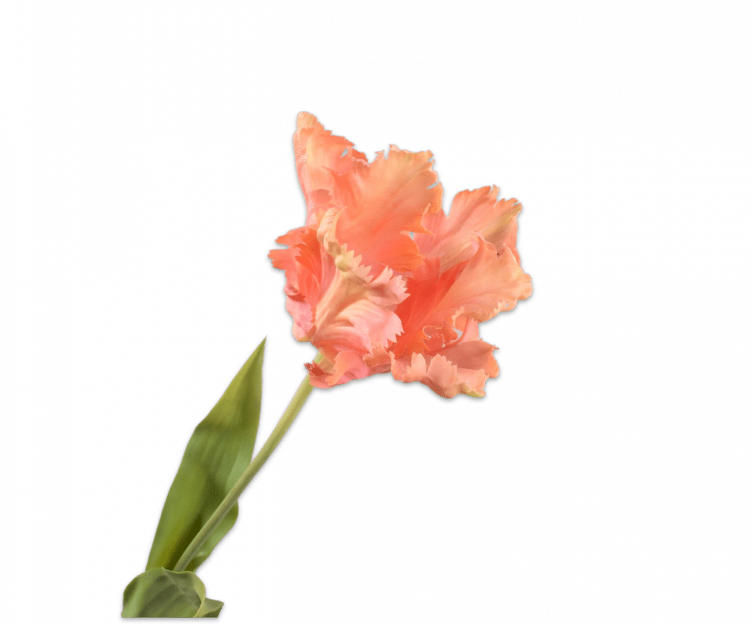 Kunstbloem Tulp Steel Perzik | 71 cm - NU PUUR & GROEN