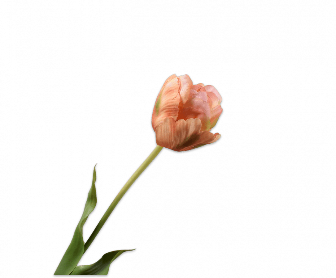 Kunstbloem Tulp Steel Perzik/Groen | 66 cm - NU PUUR & GROEN