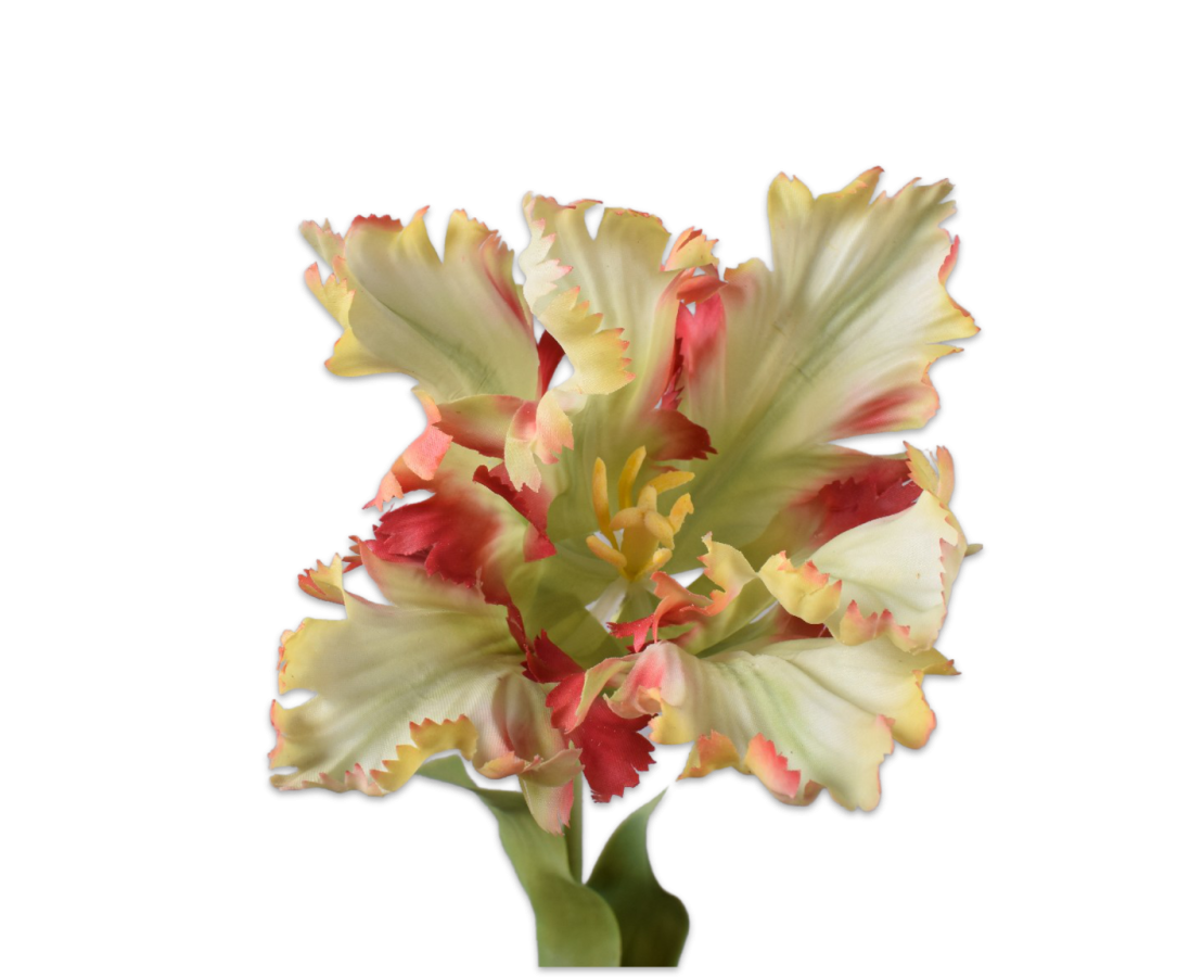 Kunstbloem Tulp Steel Rood/Groen RT | 71 cm - NU PUUR & GROEN