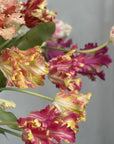 Kunstbloem Tulp Steel Rood/Groen RT | 71 cm - NU PUUR & GROEN
