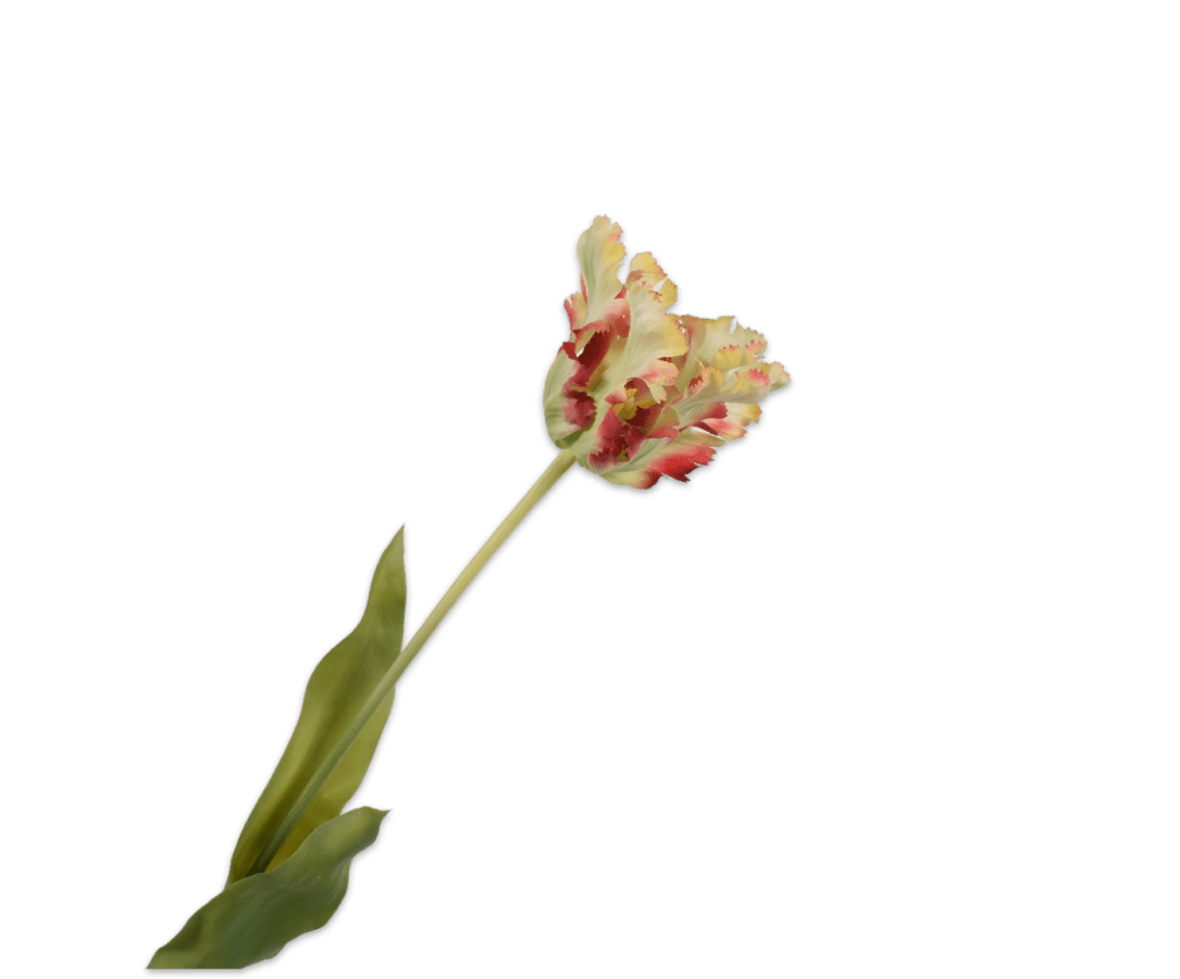 Kunstbloem Tulp Steel Rood/Groen RT | 71 cm - NU PUUR & GROEN