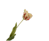 Kunstbloem Tulp Steel Rood/Groen RT | 71 cm