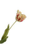 Kunstbloem Tulp Steel Rood/Groen RT | 71 cm - NU PUUR & GROEN