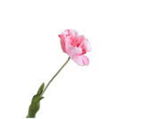 Kunstbloem Tulp Steel Roze RT | 72 cm