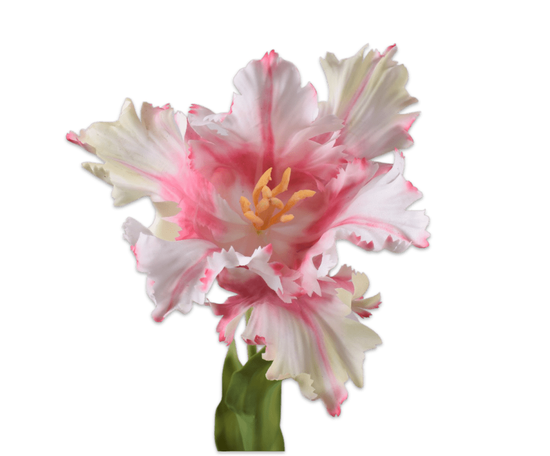 Kunstbloem Tulp Steel Roze/Wit RT | 71 cm - NU PUUR & GROEN