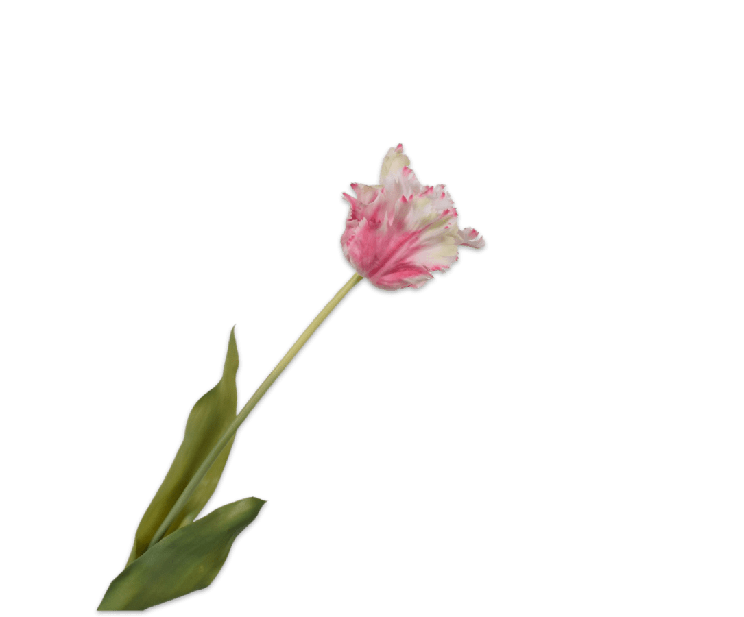 Kunstbloem Tulp Steel Roze/Wit RT | 71 cm - NU PUUR & GROEN