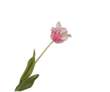 Kunstbloem Tulp Steel Roze/Wit RT | 71 cm