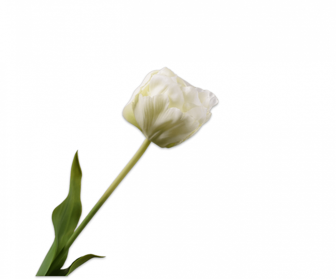 Kunstbloem Tulp Steel Wit | 66 cm - NU PUUR & GROEN