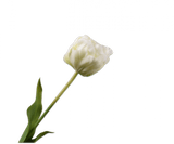 Kunstbloem Tulp Steel Wit | 66 cm