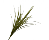 Kunstbloem Yucca Tak Groen | 122 cm