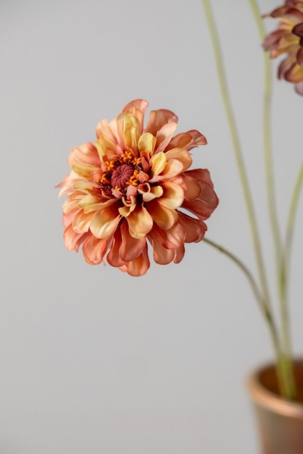 Kunstbloem Zinnia Tak Creme/Paars REAL TOUCH | 62 cm - NU PUUR & GROEN