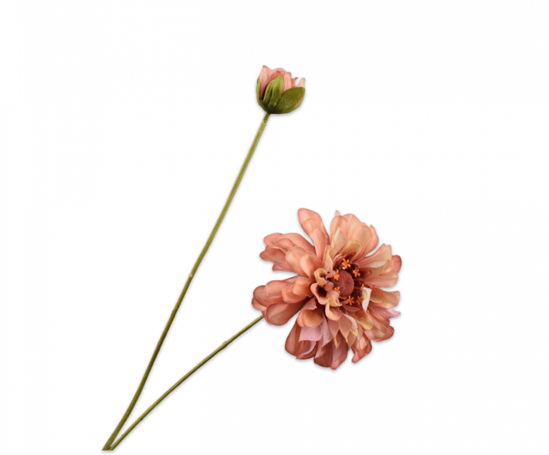 Kunstbloem Zinnia Tak Creme/Paars REAL TOUCH | 62 cm - NU PUUR & GROEN