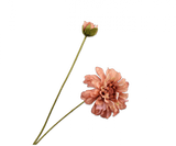 Kunstbloem Zinnia Tak Creme/Paars REAL TOUCH | 62 cm