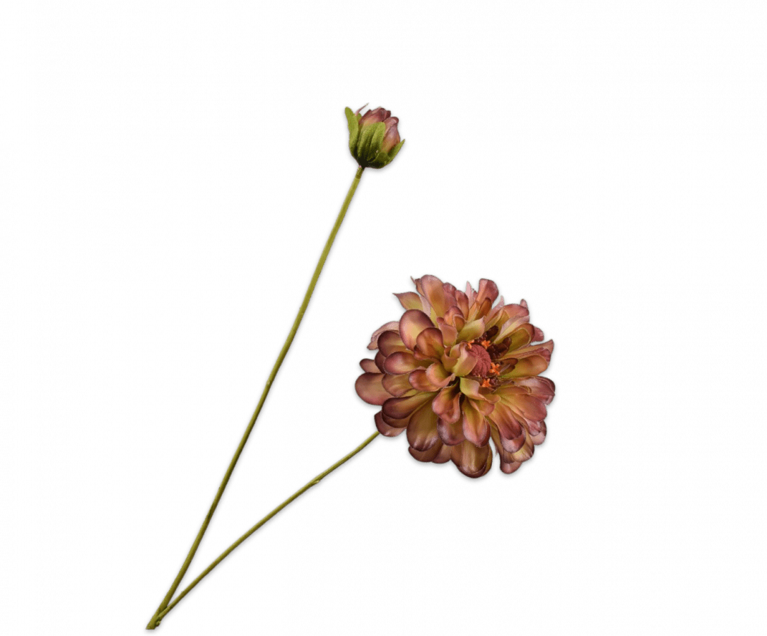 Kunstbloem Zinnia Tak Groen/Bordeaux REAL TOUCH | 62 cm - NU PUUR & GROEN