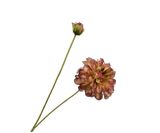 Kunstbloem Zinnia Tak Groen/Bordeaux REAL TOUCH | 62 cm