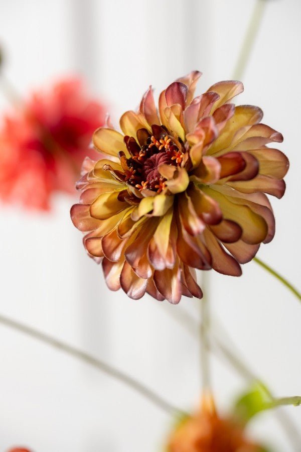 Kunstbloem Zinnia Tak Groen/Bordeaux REAL TOUCH | 62 cm - NU PUUR & GROEN