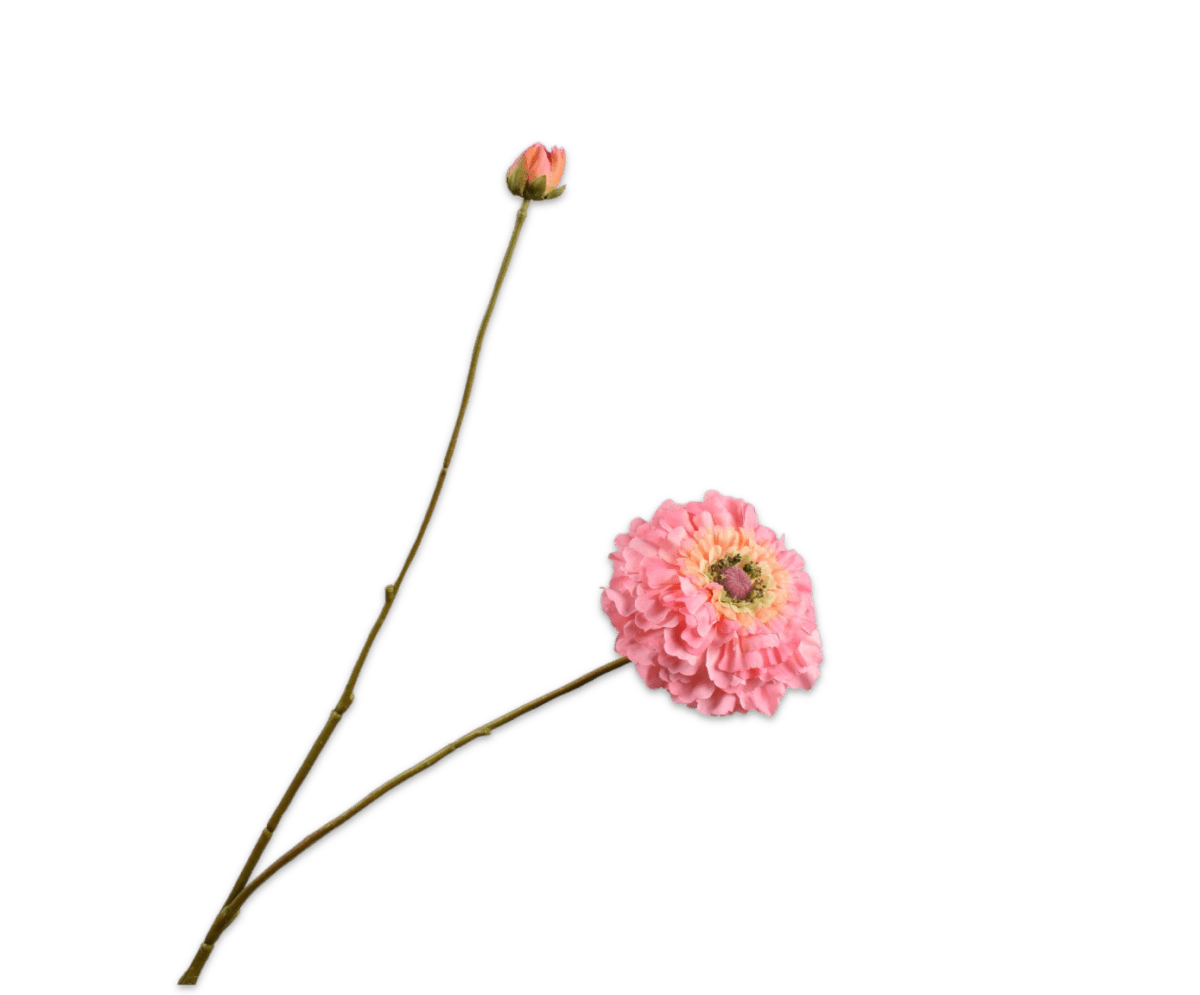 Kunstbloem Zinnia Tak Perzik | 85 cm - NU PUUR & GROEN