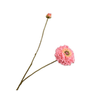 Kunstbloem Zinnia Tak Perzik | 85 cm
