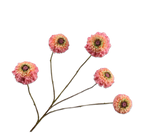 Kunstbloem Zinnia Tak Perzik | 91 cm