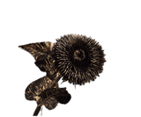 Kunstbloem Zonnebloem Steel Zwart / Goud | 96 cm