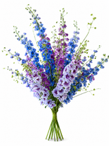 Kunstbloemen boeket | Delphinium Blue Large