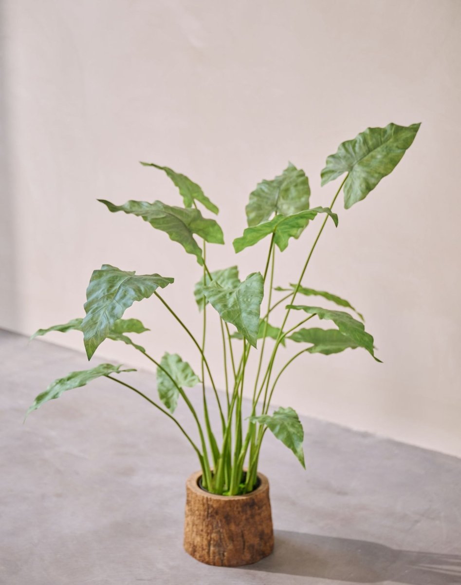 Kunstplant Alocasia Groen | 109 cm - NU PUUR & GROEN