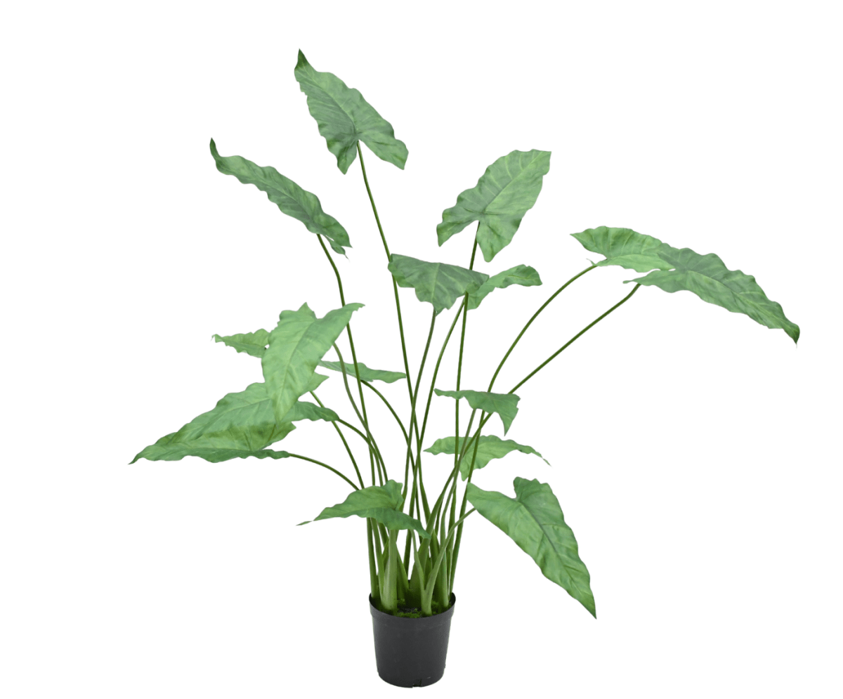 Kunstplant Alocasia Groen | 109 cm - NU PUUR & GROEN