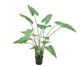 Kunstplant Alocasia Groen | 109 cm