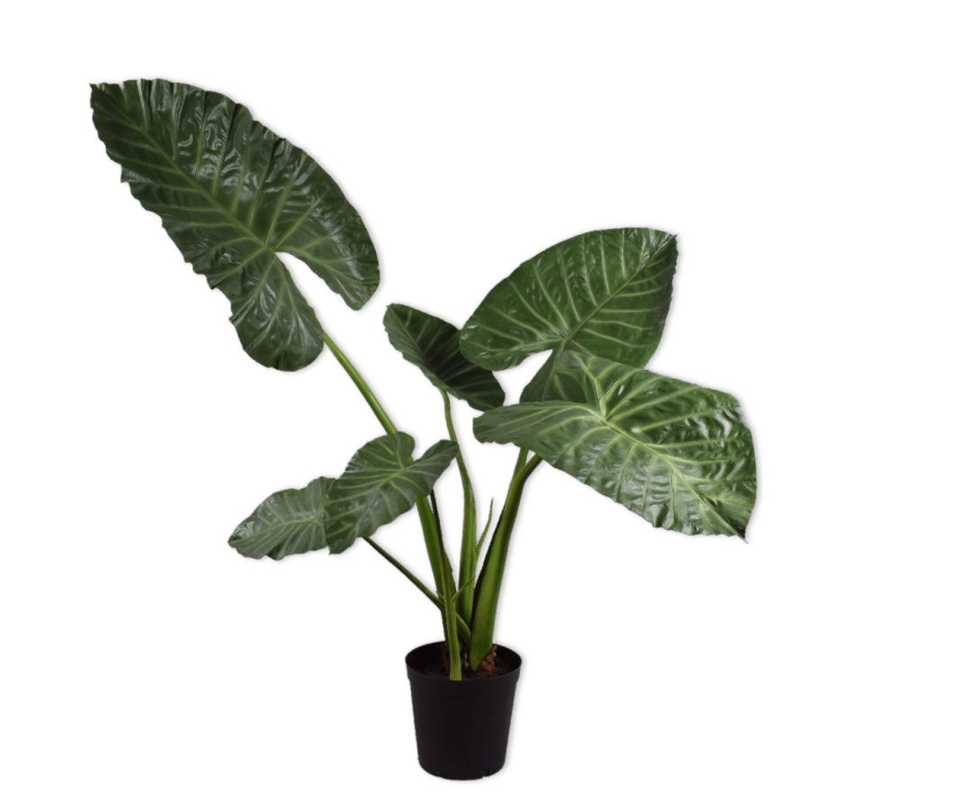 Kunstplant Alocasia Groen | 121 cm - NU PUUR & GROEN