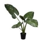 Kunstplant Alocasia Groen | 121 cm