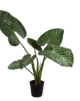 Kunstplant Alocasia Groen | 121 cm - NU PUUR & GROEN
