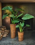 Kunstplant Alocasia Groen | 124 cm - NU PUUR & GROEN