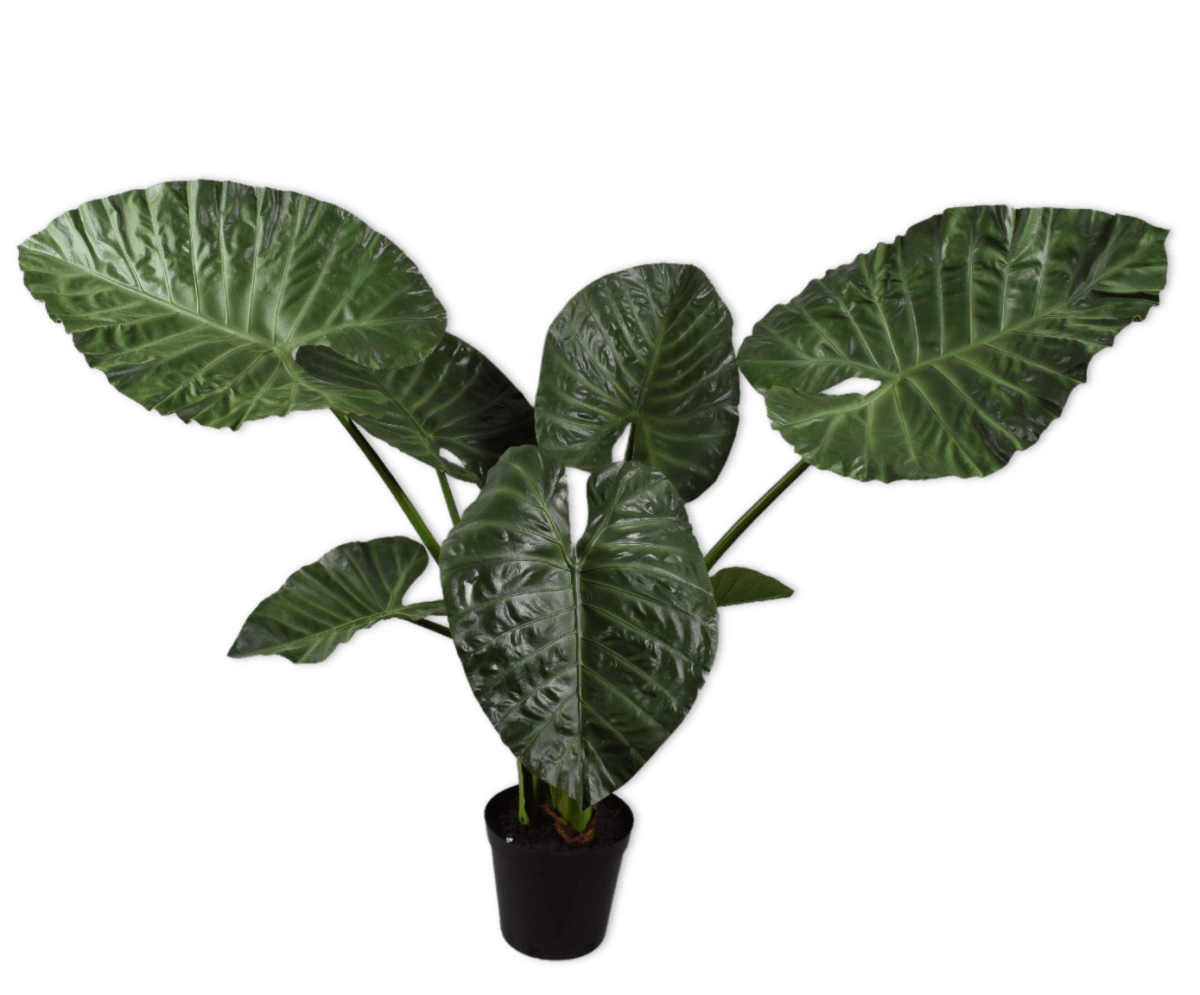 Kunstplant Alocasia Groen | 124 cm - NU PUUR & GROEN