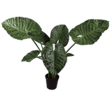 Kunstplant Alocasia Groen | 124 cm