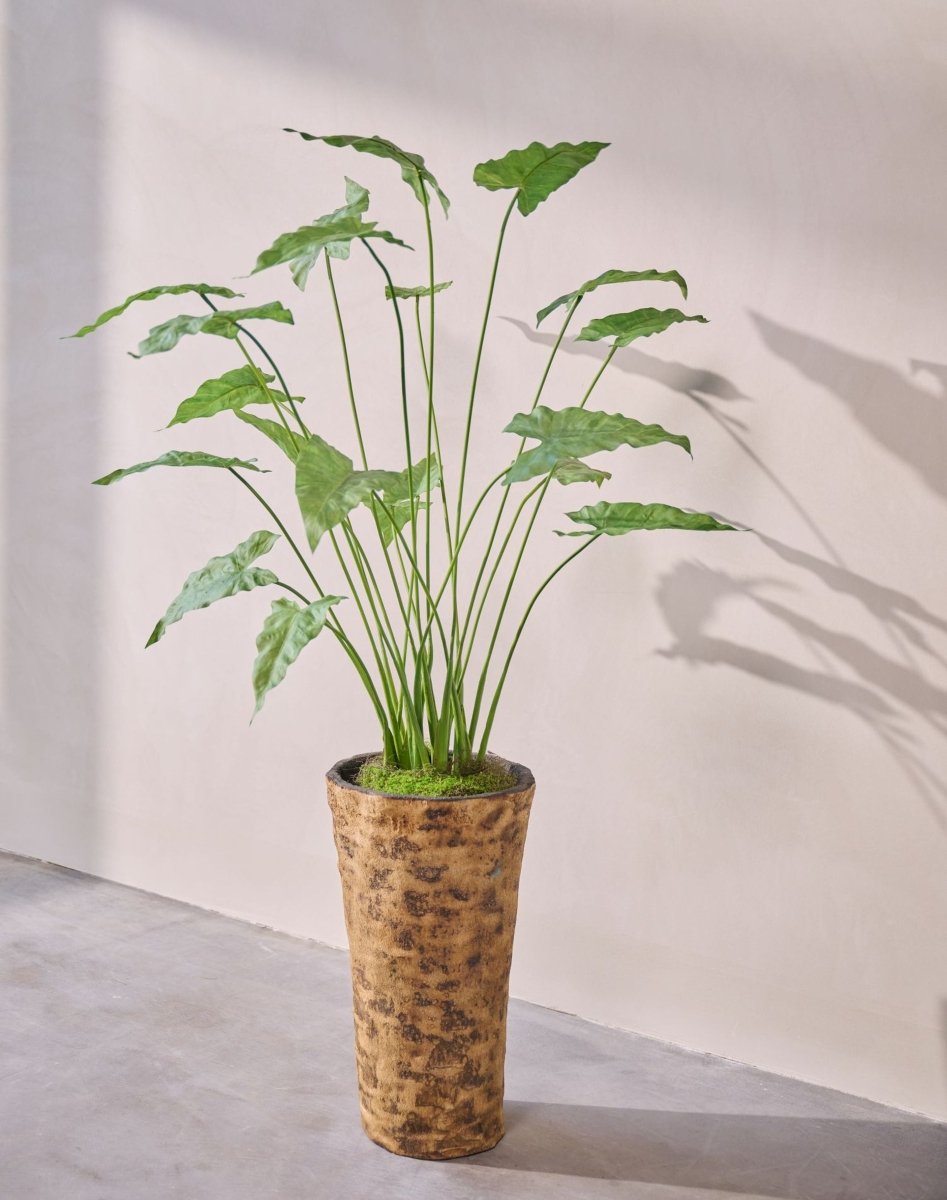Kunstplant Alocasia Groen | 133 cm - NU PUUR & GROEN