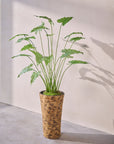 Kunstplant Alocasia Groen | 133 cm - NU PUUR & GROEN
